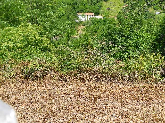 100_5264.jpg
