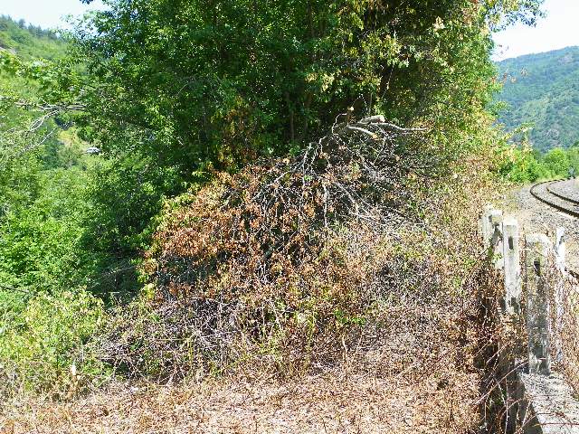 100_5265.jpg