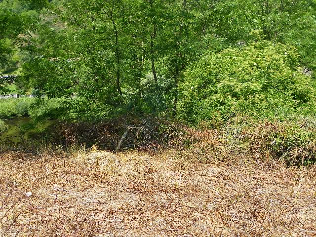 100_5266.jpg