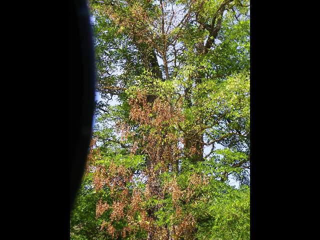 100_5269.jpg