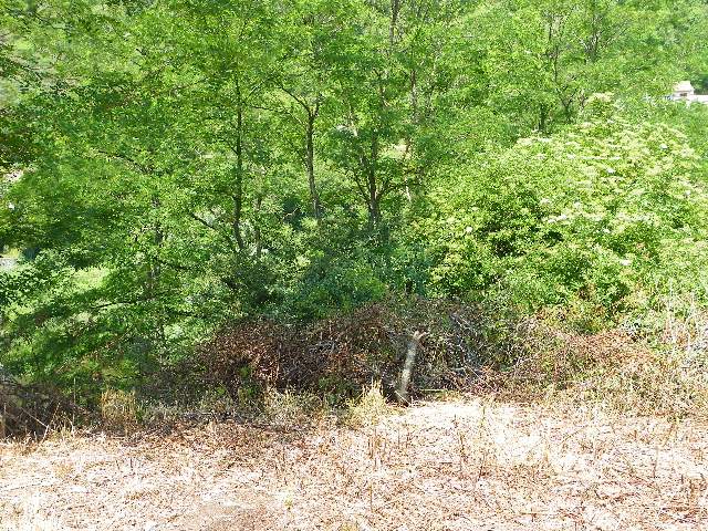 100_5270.jpg