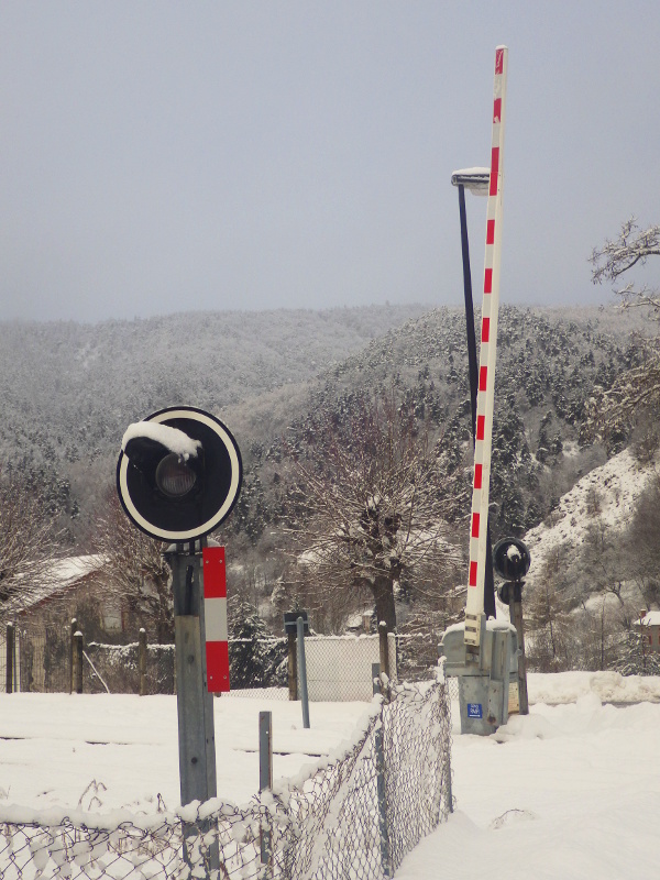 IMGP0859.jpg