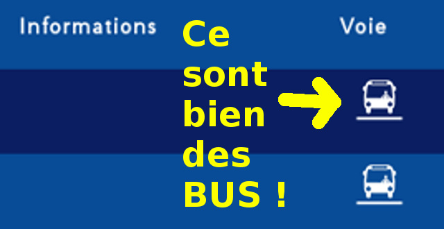 cesontdesbus.jpg