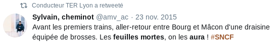 feuilles_mortes_sncf_aura_recherche_sur_twitter.png