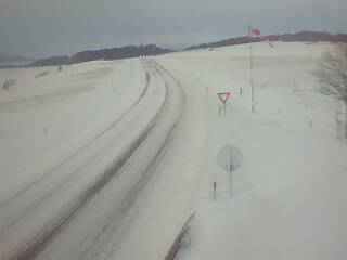 img_2019-02-04_09-38-56_21.jpg