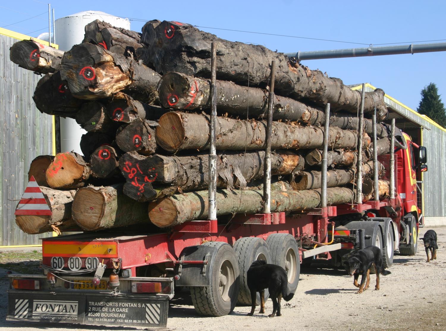 arrivee_d_un_grumier_dans_le_clos_de_l_entreprise_des_freres_allot.jpg