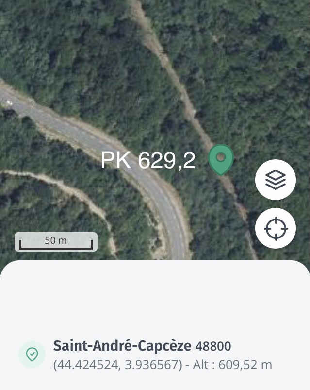 dimage1.jpg