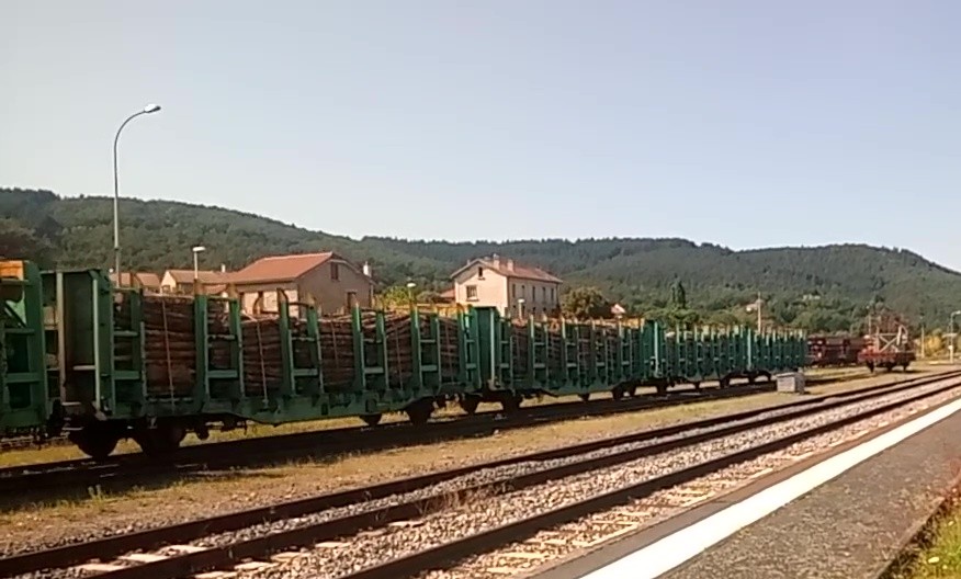 grumier01.jpg